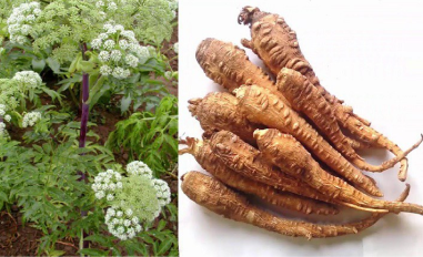 Tên tiêu đề bài viết Demo 3