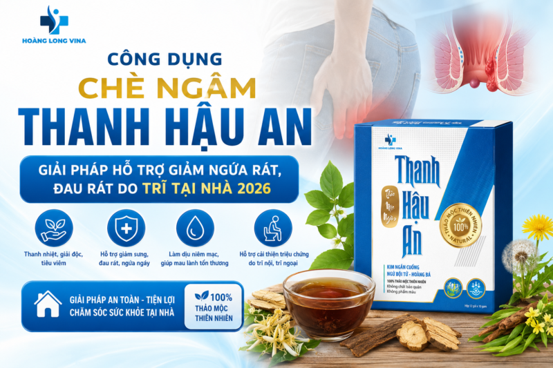 Công dụng chè ngâm Thanh Hậu An: Giải pháp hỗ trợ giảm ngứa rát, đau rát do trĩ tại nhà 2026