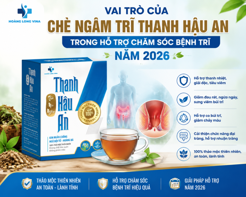 Vai trò của chè ngâm trĩ Thanh Hậu An trong hỗ trợ chăm sóc bệnh trĩ năm 2026