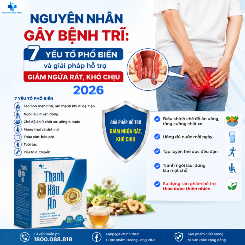Nguyên nhân gây bệnh trĩ: 7 yếu tố phổ biến và giải pháp hỗ trợ giảm ngứa rát, khó chịu 2026