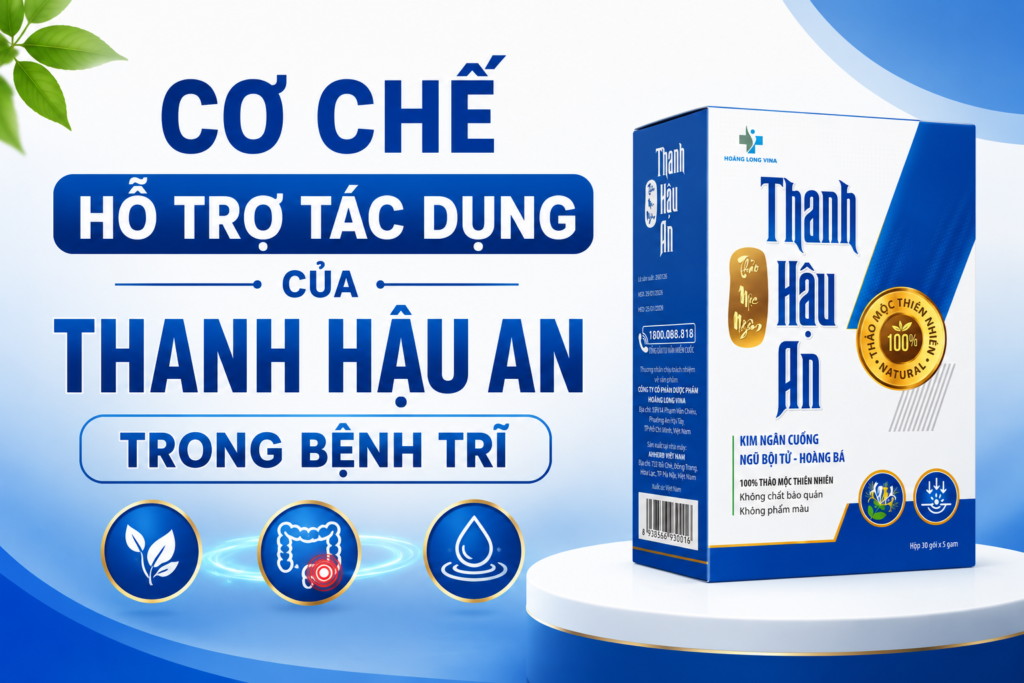 Cơ Chế Hỗ Trợ Tác Dụng Của Thanh Hậu An Trong Bệnh Trĩ 