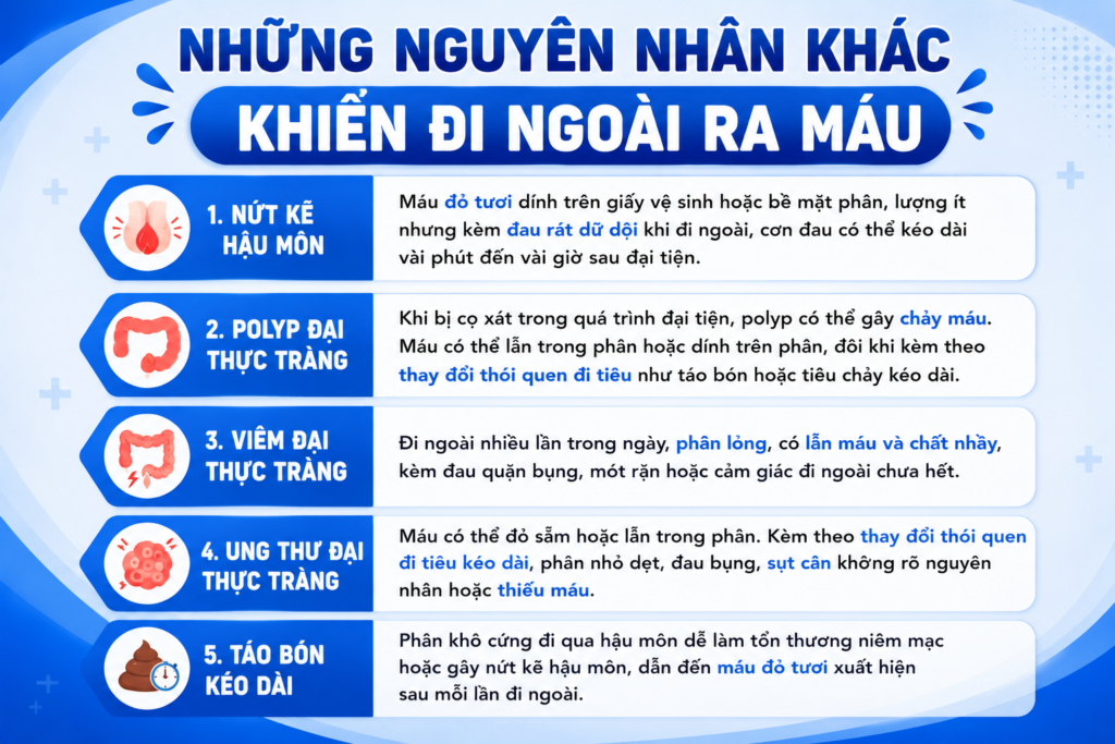 Nguyên nhân gây bệnh trĩ: Dấu hiệu nhận biết và cách hỗ trợ giảm ngứa rát khó chịu tại nhà 