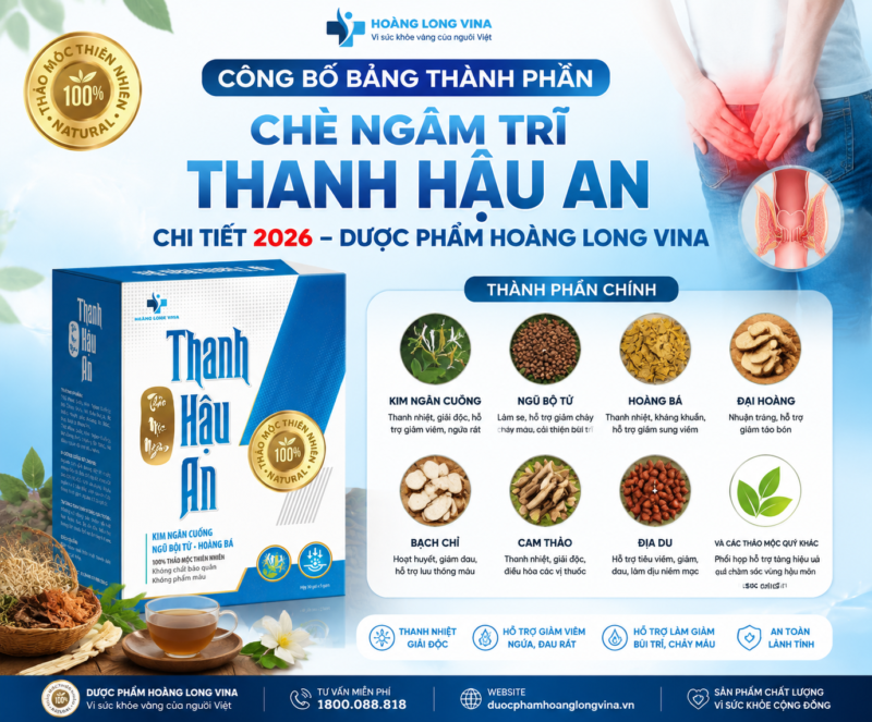 Công bố bảng thành phần chè ngâm trĩ Thanh Hậu An chi tiết 2026 – Dược phẩm Hoàng Long ViNa